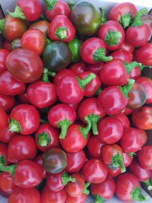 ***SALE***5lb case of organic cherry bomb peppers