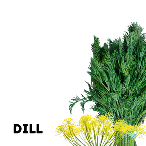Organic dill bouquet