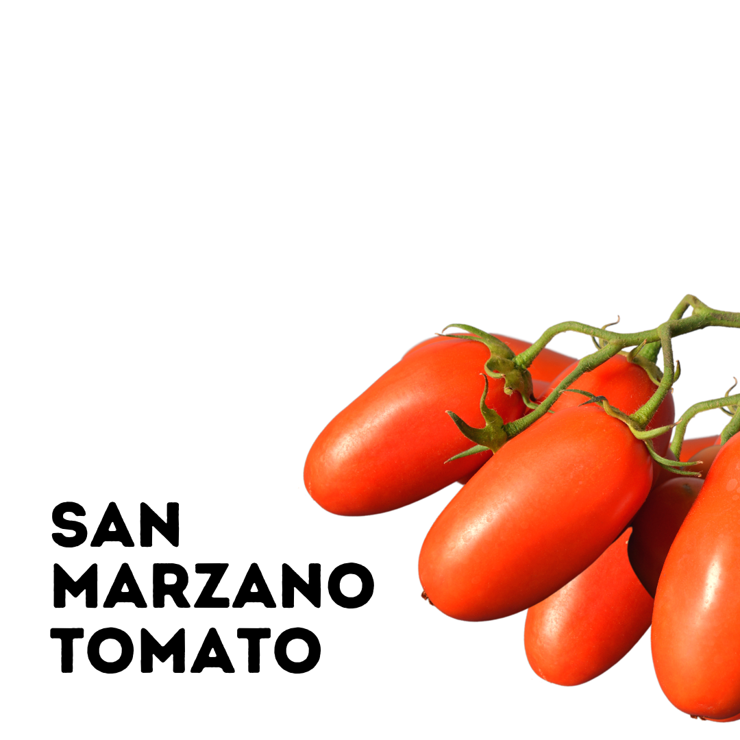 End of Season Flash sale on  our Organic San Marzano  Tomato | 25lb Bulk Case