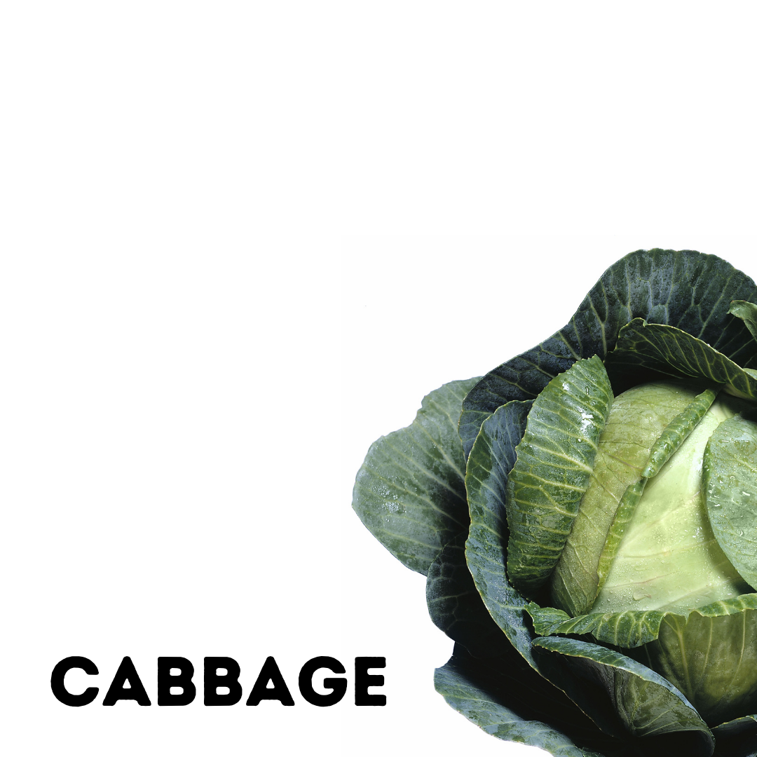 25# Bulk organic Cabbage on Farm Pickup